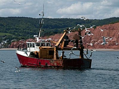 Exmouth fishing boat